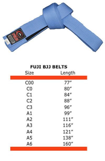 Fuji BJJ Belt C2 Grey/White 