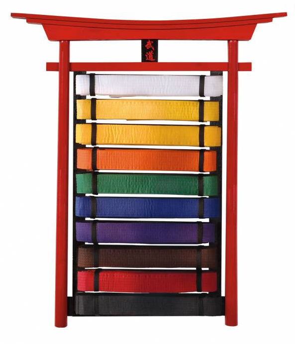 Deluxe Wall Mounted 10 Belt Rack Stand