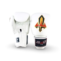 ARWUT - BG1 Boxing Gloves - Black/8oz