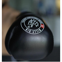 BILLY DIB - Signature Boxing Gloves - Black/6oz