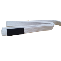 CSG BJJ Belt - White - C00