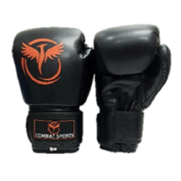 CSG Boxing Gloves - Black/10oz