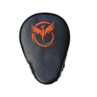 CSG Focus Mitts