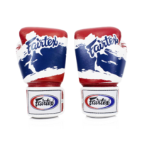 Fairtex Thai Pride Boxing Gloves (BGV1) - 10oz