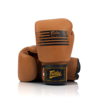 FAIRTEX Legacy Boxing Gloves (BGV21) - 8oz