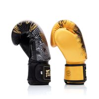 FAIRTEX - "Harmony Six" Boxing Gloves (BGV26) - 14oz