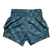 FAIRTEX - "Clubber" Muay Thai Shorts (BS1915) - Small