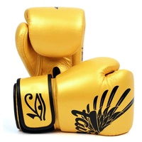 FAIRTEX - Gold Falcon Limited Edition Boxing Gloves (BGV1) - 10oz