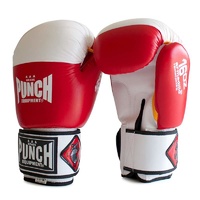 PUNCH - Armadillo Boxing Gloves