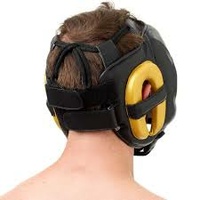 STING - Evolution Head Gear - Small