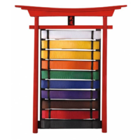 Deluxe Wall Mounted 10 Belt Rack/Stand