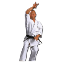 WARRIOR - Meijin Gold Label Karate Gi/Uniform - White - 3/160cm
