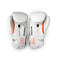 Engage - W.I.P Series Boxing Gloves - 14oz