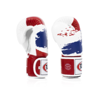 Fairtex Thai Pride Boxing Gloves (BGV1) - 10oz