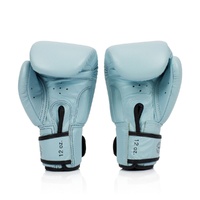 FAIRTEX Baby Blue Boxing Gloves (BGV20) - 10oz