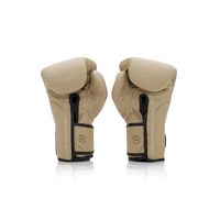FAIRTEX - F-Day 2 Army Boxing Gloves (BGV25) - 10oz