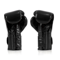FAIRTEX - "Heavy Hitter" Mexican Style Boxing Gloves (BGV9) - Black/14oz