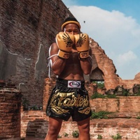 FAIRTEX - Gold Falcon Limited Edition Boxing Gloves (BGV1) - 10oz