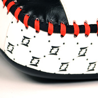 FAIRTEX - Standard Curved Thai Pads (KPLC2)