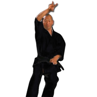 WARRIOR - Meijin Gold Label Karate Gi/Uniform - White - 3/160cm