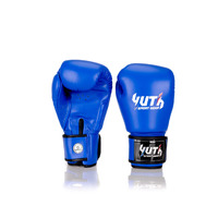 YUTH - Signature Line Boxing Gloves - Black/10oz