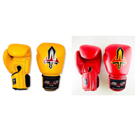 ARWUT - BG1 Boxing Gloves - Black/12oz