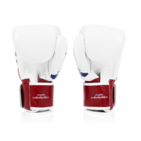Fairtex Thai Pride Boxing Gloves (BGV1) - 10oz
