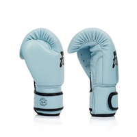 FAIRTEX Baby Blue Boxing Gloves (BGV20) - 10oz