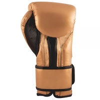 CLETO REYES - Training Boxing Gloves with Velcro - Black /12oz