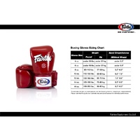 FAIRTEX Baby Blue Boxing Gloves (BGV20) - 8oz