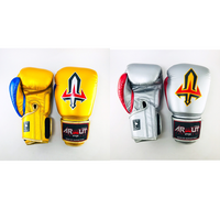 ARWUT - BG1 Boxing Gloves - Black/12oz