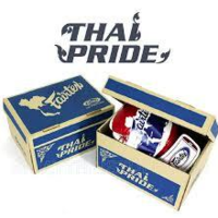 Fairtex Thai Pride Boxing Gloves (BGV1) - 8oz