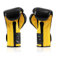 FAIRTEX - "Heavy Hitter" Mexican Style Boxing Gloves (BGV9) - Black/16oz