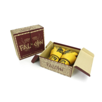 FAIRTEX - Gold Falcon Limited Edition Boxing Gloves (BGV1) - 10oz
