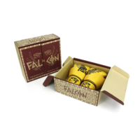 FAIRTEX - Gold Falcon Limited Edition Boxing Gloves (BGV1) - 16oz
