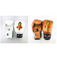 ARWUT - BG1 Boxing Gloves - Black/12oz