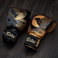 FAIRTEX - "Harmony Six" Boxing Gloves (BGV26) - 14oz