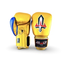 ARWUT - BG1 Boxing Gloves - Black/8oz