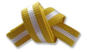 RFG - Martial Arts Belt - Yellow with White Stripe - Size 7/340cm 