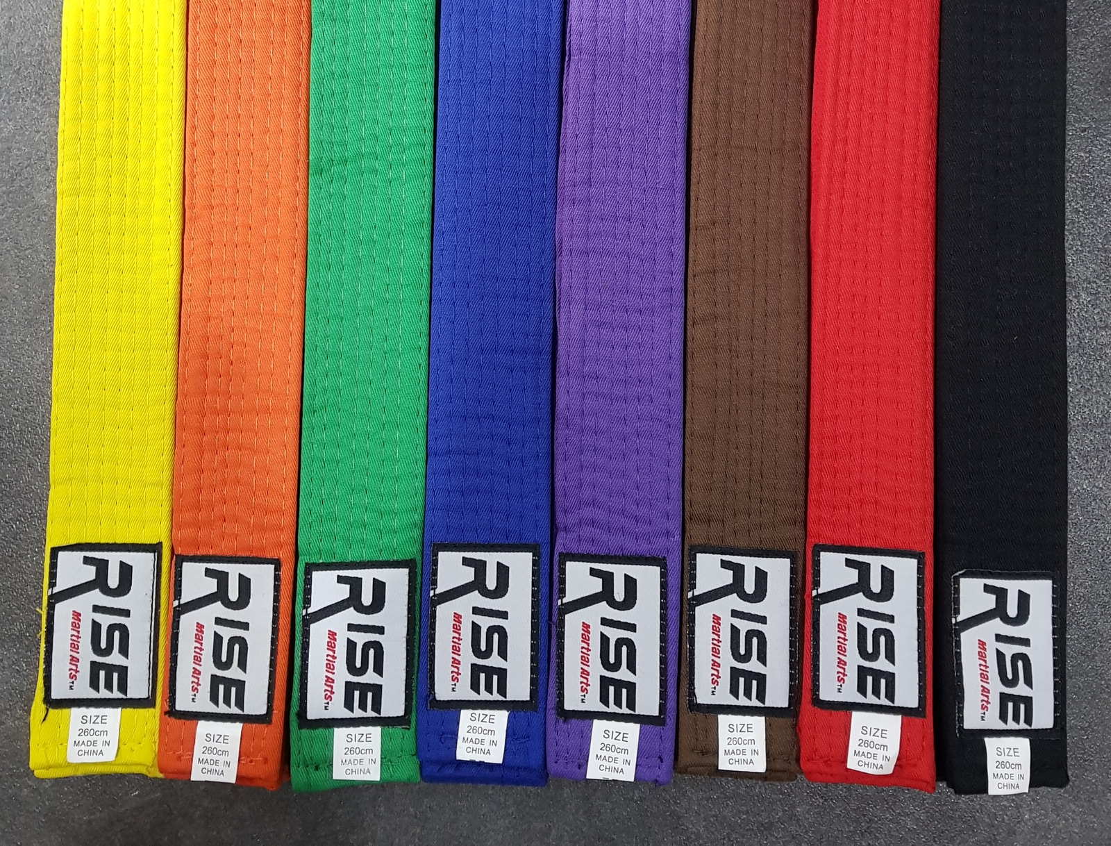 RFG Martial Arts Belt Full Colour