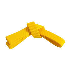 RFG - Martial Arts Belt - Full Colour Yellow - Size 6/320cm 