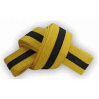 CSG - Martial Arts Belt - Yellow with Black Stripe - Size 7/340cm