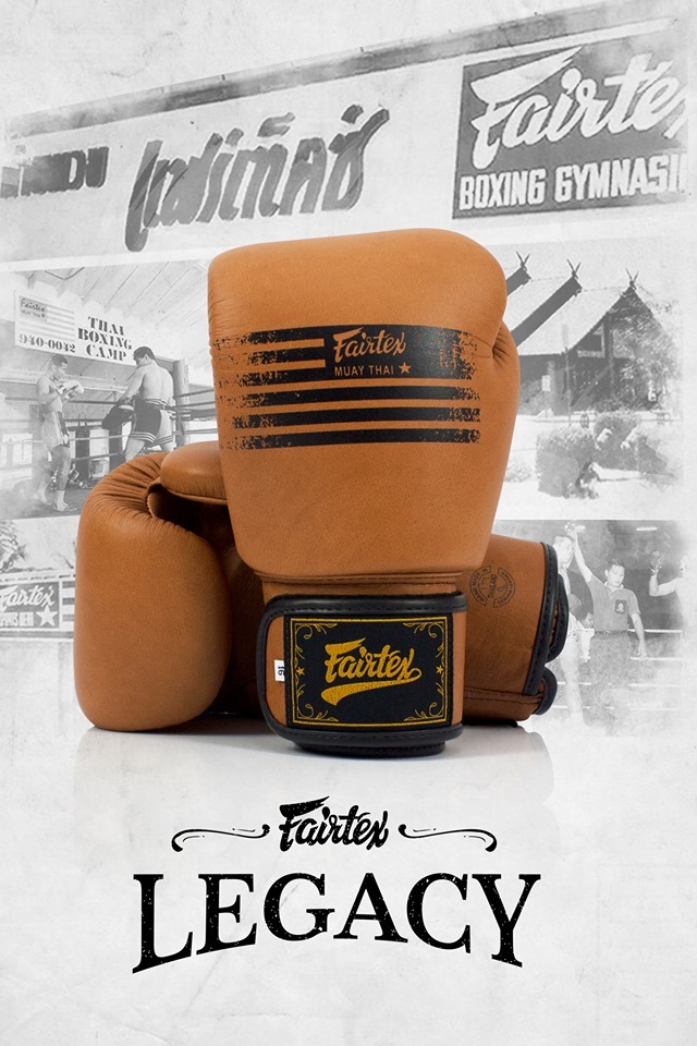 FAIRTEX Legacy Boxing Gloves (BGV21) - 14oz