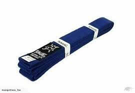 YAMASAKI - Martial Arts Belt Full Colour Blue - Size 5/300cm