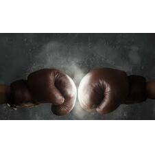 GLOVES