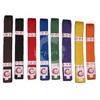 SMAI - Martial Arts Belt - Full Colour