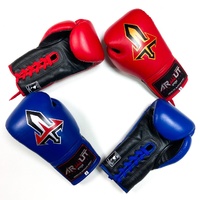 ARWUT - BG3 Lace Up Boxing Gloves