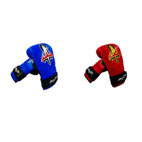 ARWUT - PM1 Punching Mitts