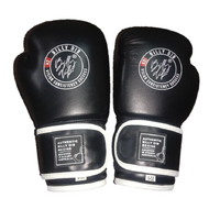 BILLY DIB - Signature Boxing Gloves