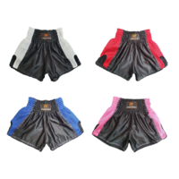 CSG Kickboxing Shorts
